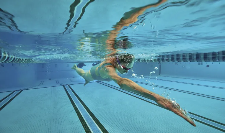 Person swimming in a pool lane.