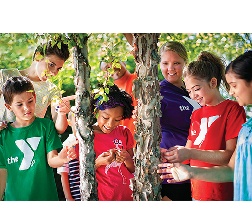 Kids looking at a tree